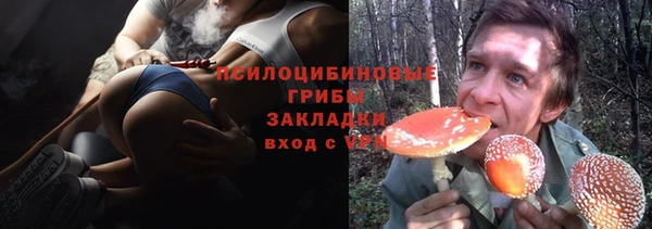 PSILOCYBIN Волоколамск